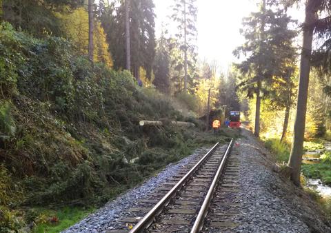 Die Fichte liegt entlang des Bahndammes auf dem Bahngraben, allerdings ragten Wurzel und größere Äste in den Gleisbereich hinein.