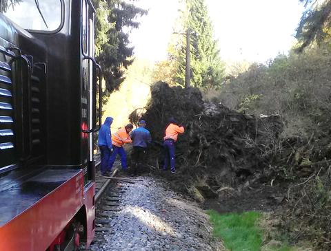 Für den Arbeitszug war an dieser Stelle erst einmal Stop angesagt, bis die Wurzel zerkleinert war.