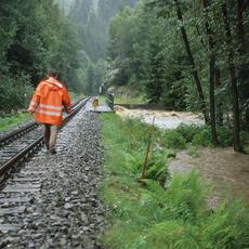 Entlang des Bahndammes vor dem Loreleifelsen bildete die Preßnitz mehrere neue Flußläufe.