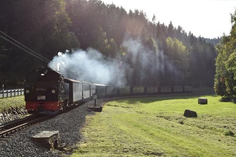 Der Zug mit der VI K erreicht den Bahnübergang Grumbacher Straße