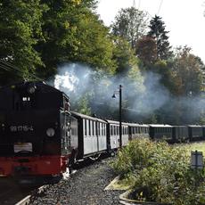 Einfahrt in den Bahnhof Steinbach.