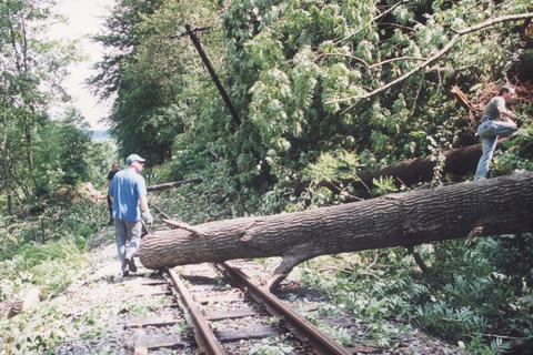 Ein Bild der Verwüstung zeigte sich in den Morgenstunden, nachdem über Nacht einige Windhosen durch das Waldgebiet entlang der Preßnitztalbahn gezogen sind.