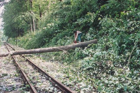 Mehrere umgefallene Bäume machten die Strecke an mehreren Stellen unpassierbar.