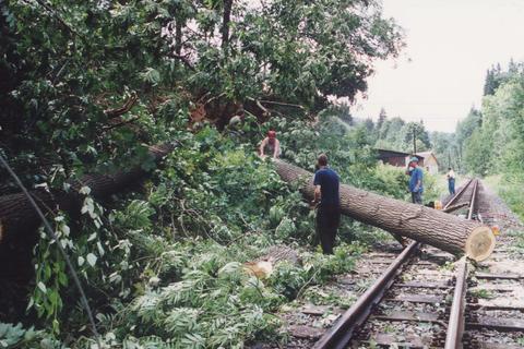 Holzfäller an der Preßnitztalbahn? Nein, Windbruchbeseitigung.