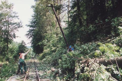 Auch ein Mast der Streckenfernsprechleitung mußte „notgefällt“ werden.