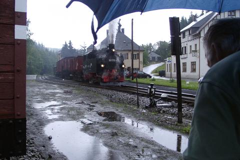 Trotz ständigem Regen harren die meisten Fotografen standhaft aus.