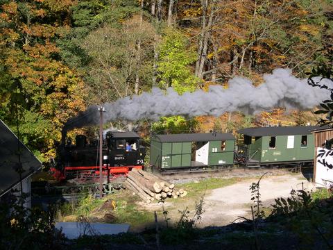 Mitte Oktober 2005 war der Güterzugpackwagen letztmalig im Zugeinsatz, hier in einem Personenzug kurz hinter dem Haltepunkt Wildbach in Richtung Jöhstadt. Für den 2-Achser steht nun eine Rekonstruktion auf dem Plan.