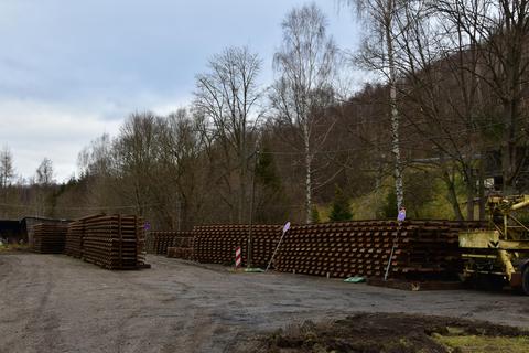 Zwischen den Gleisjochstapeln geht der Rad-Wanderweg im Verlauf des früheren Streckengleises durch.