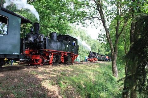 21.5.2009. Zugkreuzung in Brünkendorf mit den Gastloks 99 1574 der Döllnitzbahn und 99 4511 der Preßnitztalbahn. Foto: Jörg Müller