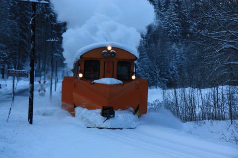 Mit Schwung durch den frisch gefallenen Neuschnee der letzten Nacht.